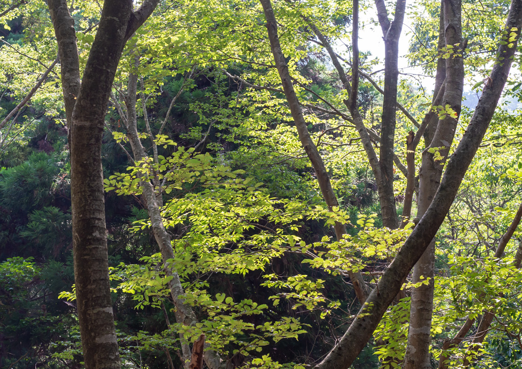 「光の森」曽根沼公園