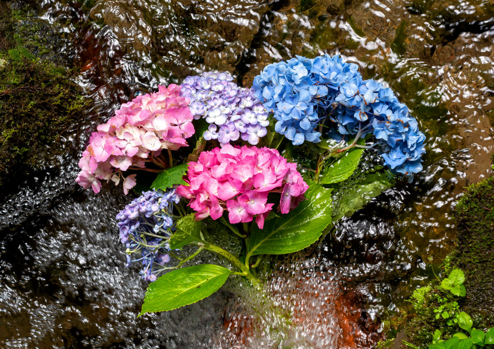 湧き水への贈り物