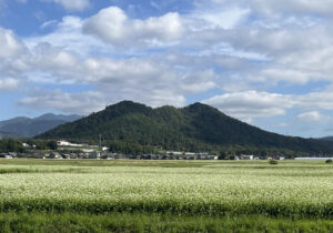 蕎麦畑（キリンビール前）