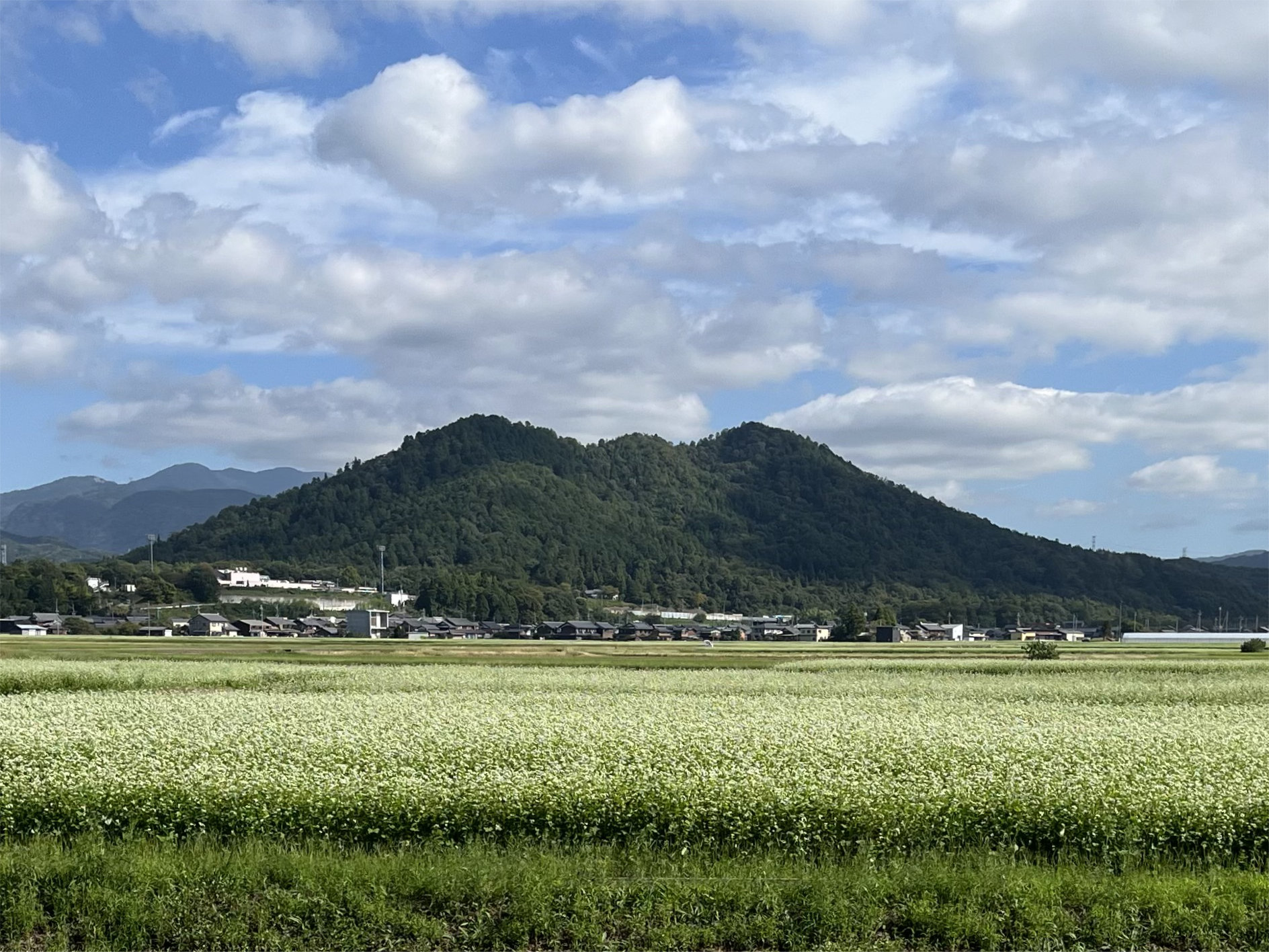 蕎麦畑(キリンビール前)