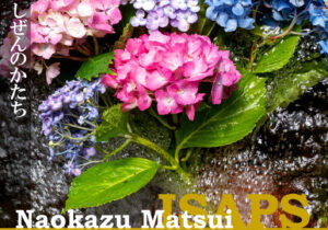 松井直和写真展 〜しぜんのかたち⑥〜